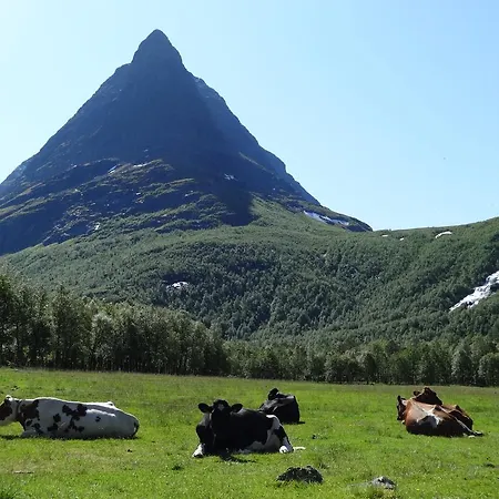 Frich's فندق Surnadal